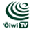 Oiwi TV